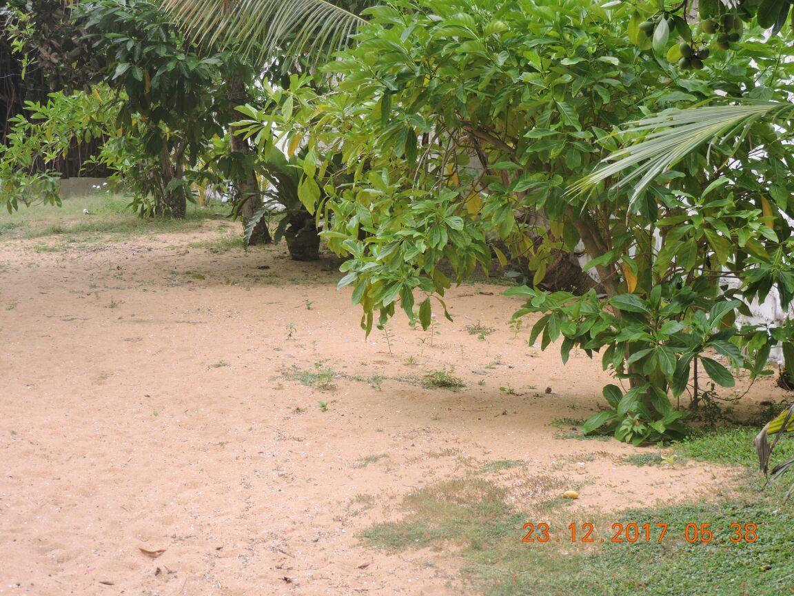 Akain Villa Dodanduwa Bagian luar foto