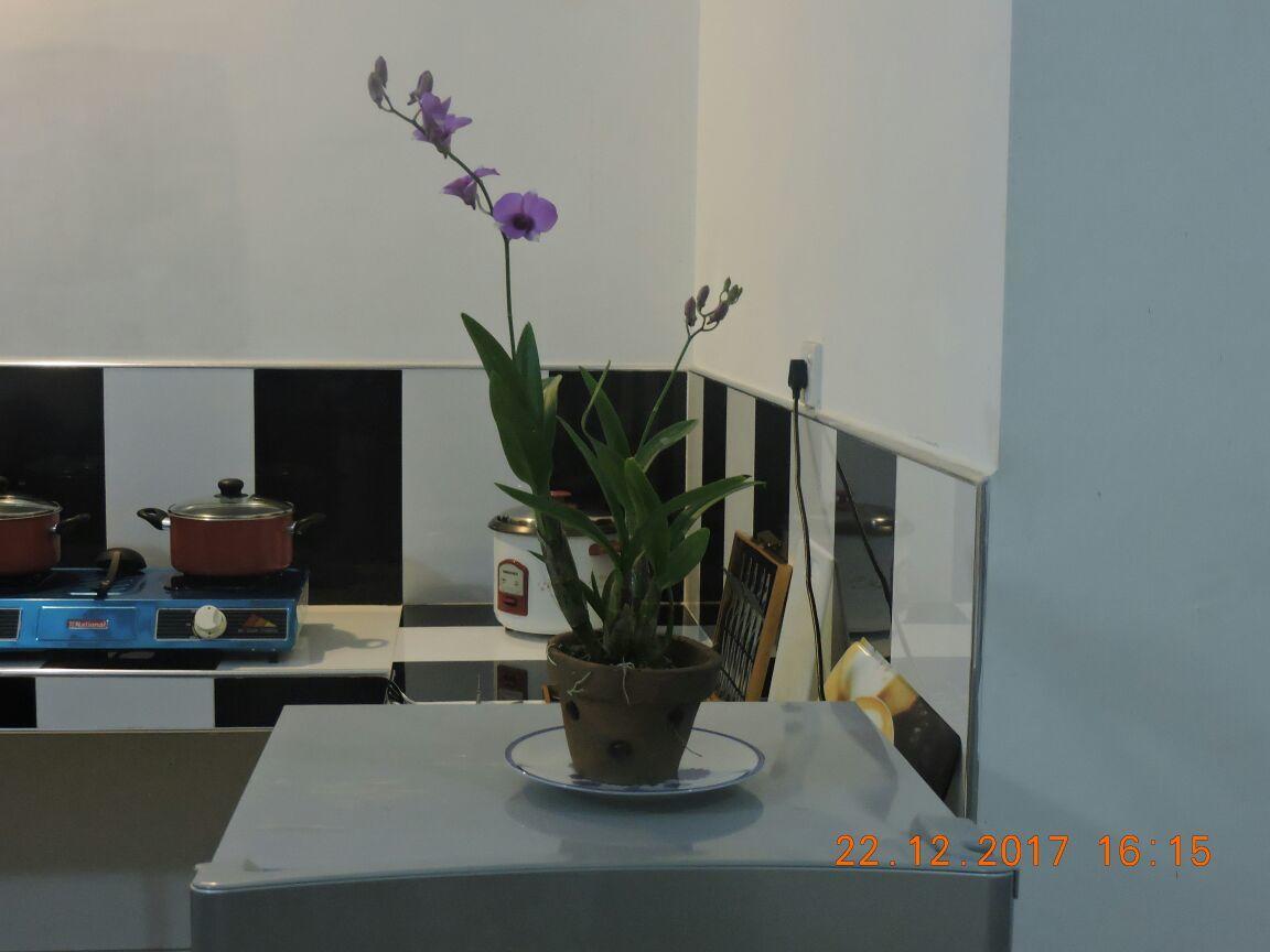 Akain Villa Dodanduwa Bagian luar foto