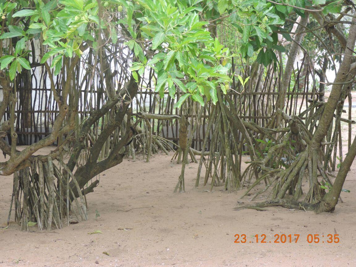 Akain Villa Dodanduwa Bagian luar foto